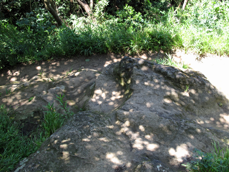 20150715hike (55)